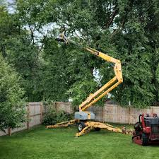 Best Landscape Design and Installation  in North Sea, NY