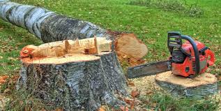 Best Stump Grinding and Removal  in North Sea, NY
