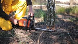 Best Lawn Grading and Leveling  in North Sea, NY