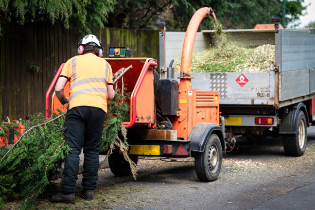 Best Hazardous Tree Removal  in North Sea, NY